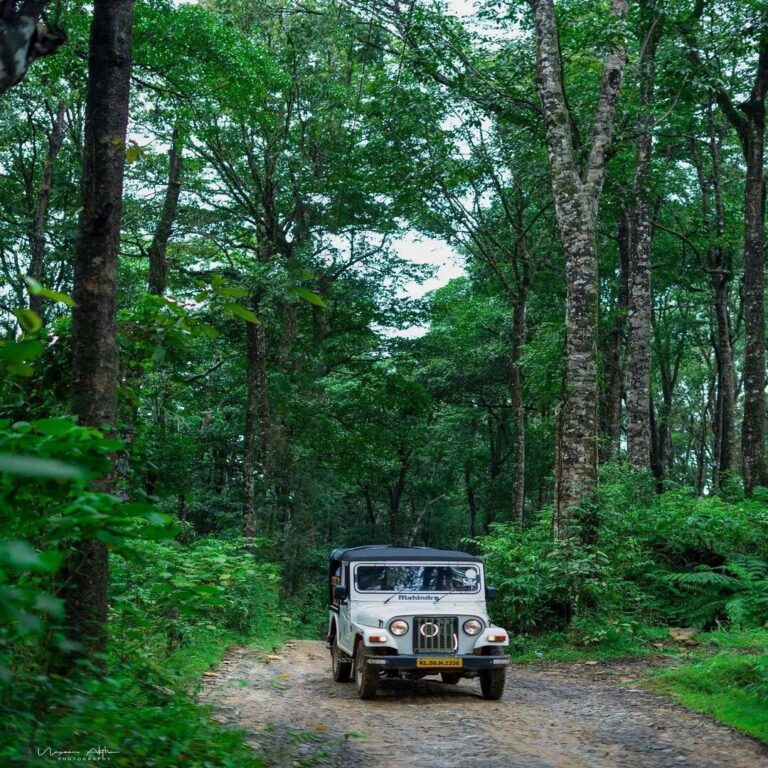 jeep safari to 900 kandi 768x768 (1)