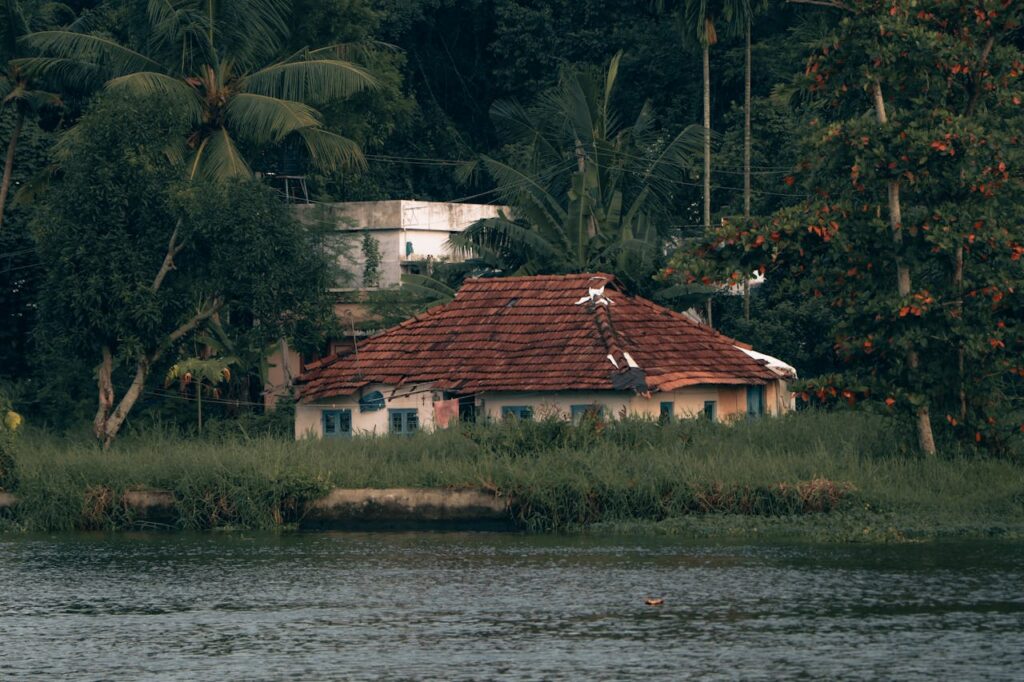 pexels ajuu 34618650