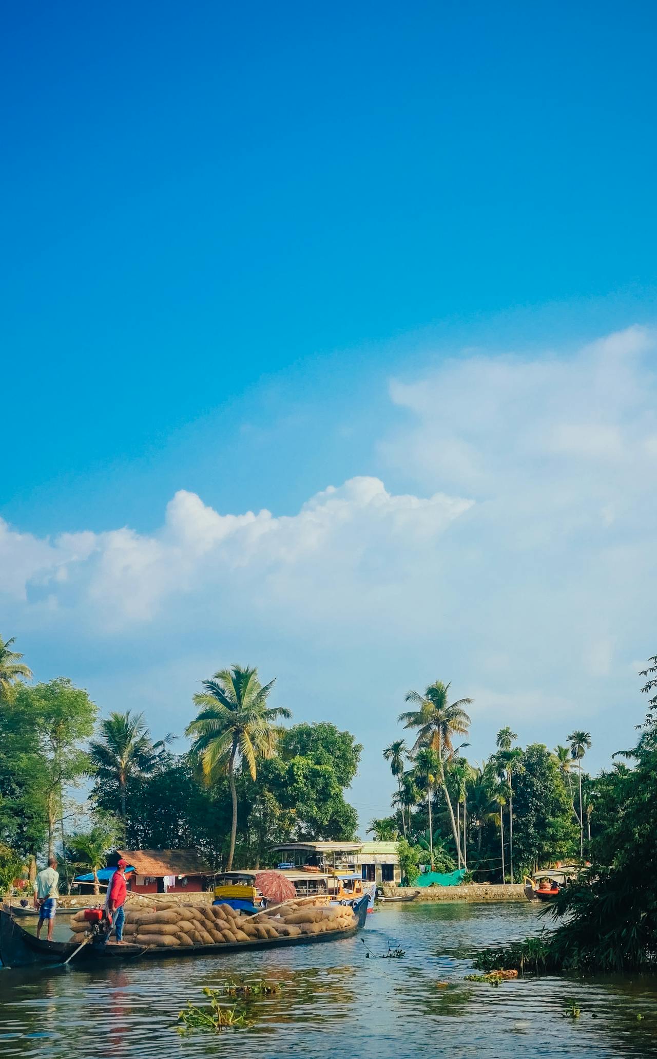 pexels aravind p s 1808524778 30487745