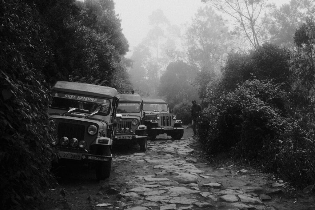 Enchanting Munnar Tourism pexels montedhar 22303756