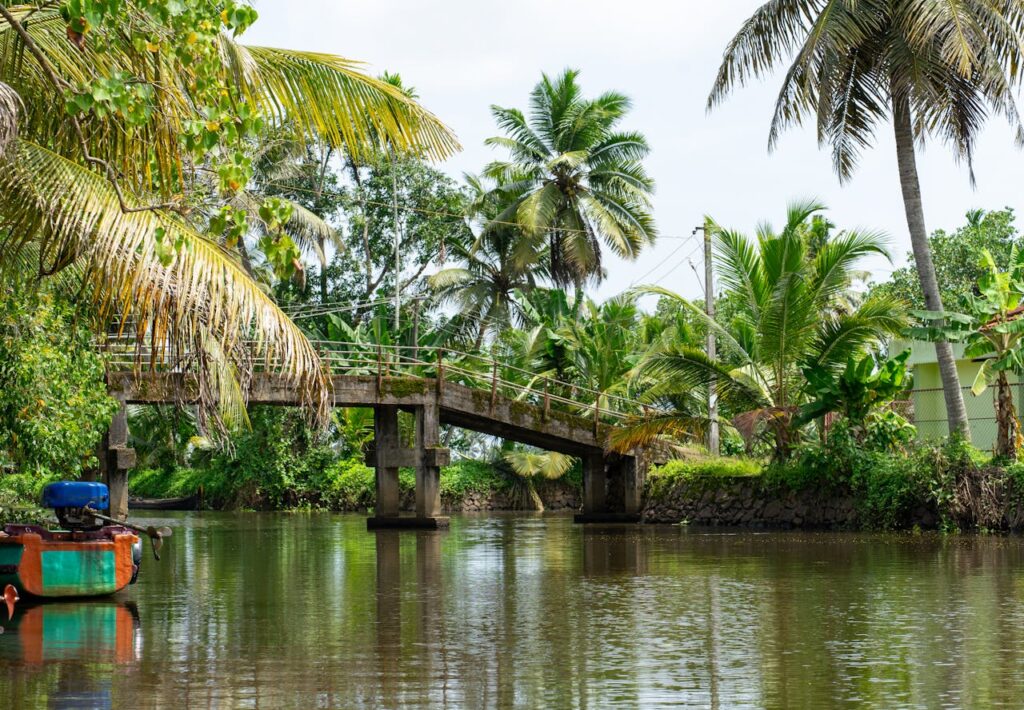 Alleppey Tourism Alleppey Tourism – Kerala Backwater