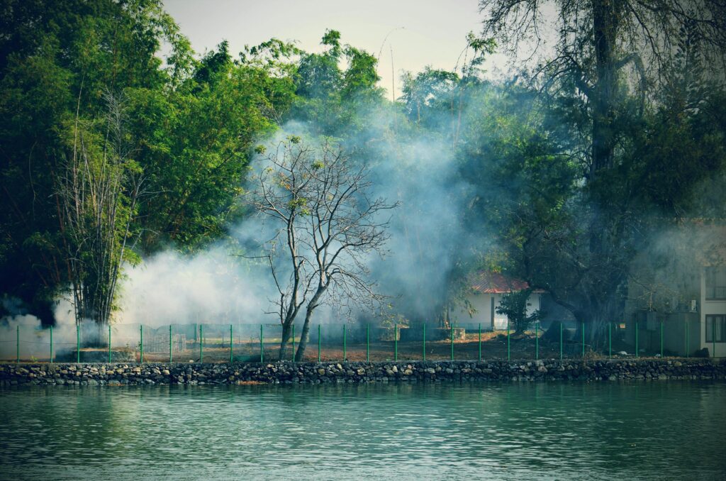 KERALA TOURISM pexels rajeshx8 980178