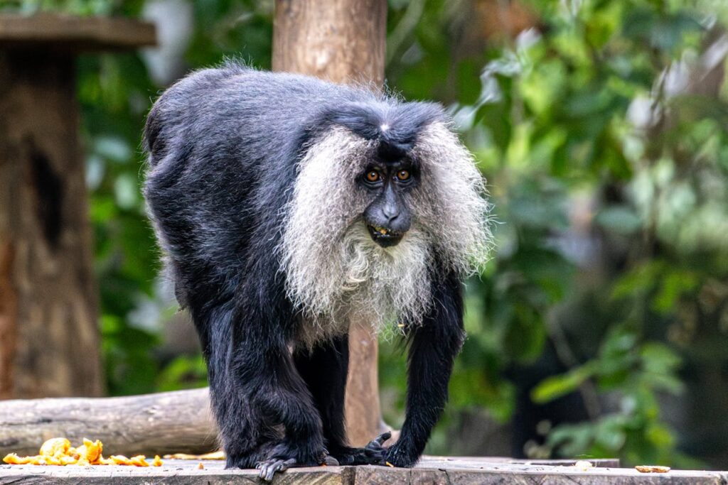 adventure tourism in kerala