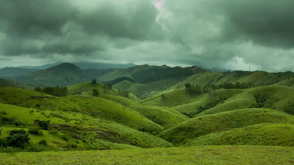 KERALA TOURISM vagamon meadows 1920x1080 1