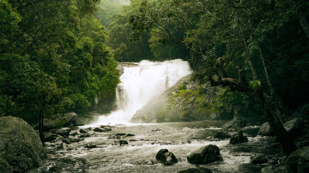Enchanting Munnar Tourism waterfalls