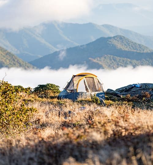 Home camp 3